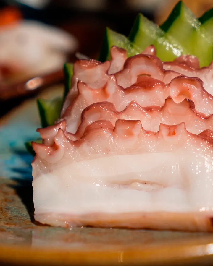 Sashimi de polvo com pepino
